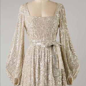 NWT champagne sequin dress